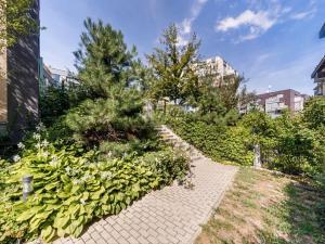 Pronájem bytu 2+kk, Praha - Žižkov, Olgy Havlové, 57 m2