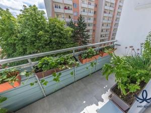 Prodej bytu 3+1, Mladá Boleslav, Palackého, 72 m2