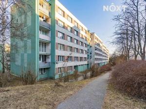 Pronájem bytu 2+1, Český Krumlov, Sídliště Plešivec, 55 m2