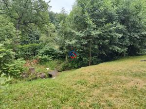 Prodej bytu 3+kk, Velké Losiny, 150 m2