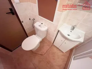 Pronájem bytu 2+1, Jirkov, K. Marxe, 57 m2