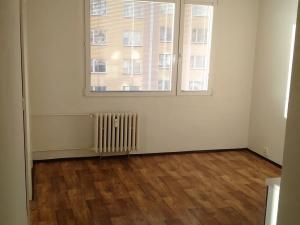Pronájem bytu 1+1, Děčín, Severní, 35 m2