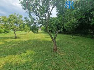 Prodej zahrady, Přerov, Staré Rybníky, 1049 m2