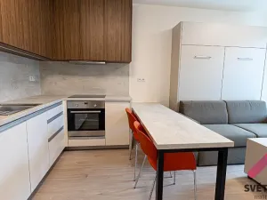 Pronájem bytu 1+kk, Praha - Žižkov, Hartigova, 32 m2
