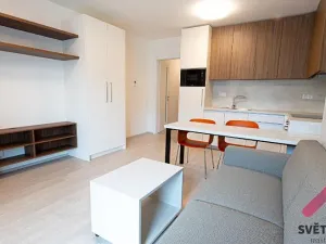 Pronájem bytu 1+kk, Praha - Žižkov, Hartigova, 32 m2