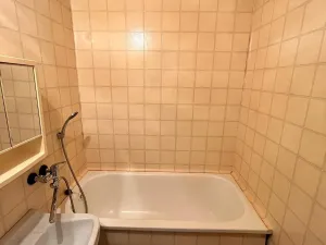 Prodej bytu 2+1, Brno, Brožíkova, 55 m2