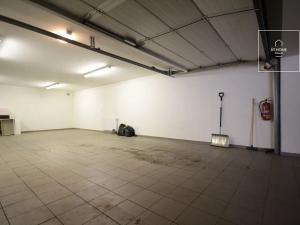 Pronájem bytu 3+kk, Praha - Břevnov, Tomanova, 111 m2
