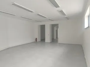 Pronájem obchodního prostoru, Pardubice, 17. listopadu, 133 m2