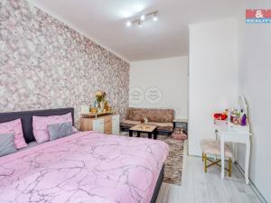Pronájem bytu 1+1, Plzeň - Východní Předměstí, Radyňská, 41 m2