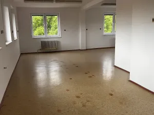 Prodej výrobních prostor, Strážov, 228 m2
