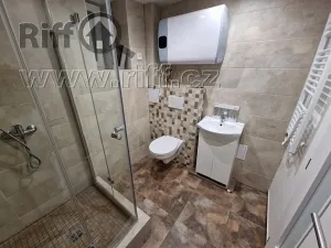 Pronájem bytu 1+kk, Brno, Dřevařská, 25 m2