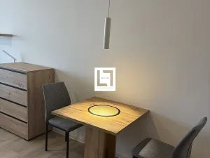 Pronájem bytu 1+kk, Olomouc, Aloise Rašína, 38 m2
