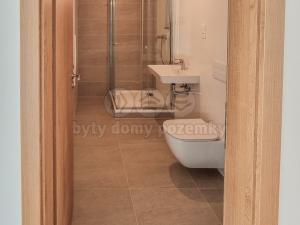 Pronájem bytu 2+kk, Praha - Libeň, Červená báň, 57 m2