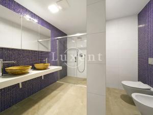 Pronájem bytu 4+kk, Plzeň, Šafaříkovy sady, 195 m2