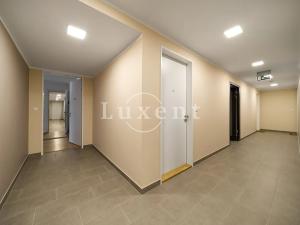 Pronájem bytu 4+kk, Plzeň, Šafaříkovy sady, 195 m2