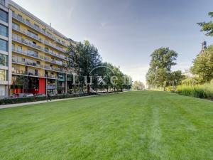 Pronájem bytu 4+kk, Plzeň, Šafaříkovy sady, 195 m2