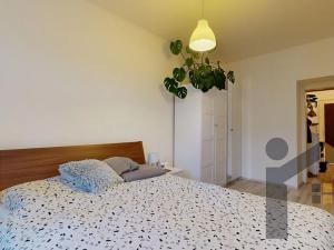 Pronájem bytu 2+kk, Praha - Michle, Nuselská, 49 m2