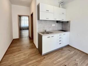 Pronájem bytu 2+kk, Brno, Cihlářská, 42 m2