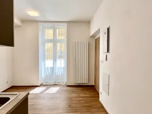Pronájem bytu 2+kk, Brno, Cihlářská, 42 m2