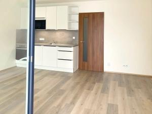 Pronájem bytu 1+kk, Brno, Spolková, 29 m2