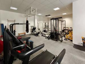 Pronájem bytu 2+kk, Liberec, Americká, 56 m2