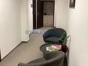 Pronájem kanceláře, České Budějovice, nám. Přemysla Otakara II., 161 m2