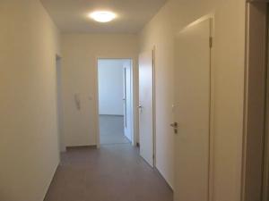 Pronájem bytu 3+kk, Praha - Žižkov, Olgy Havlové, 71 m2