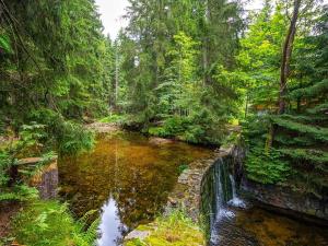 Prodej bytu 1+1, Harrachov, 34 m2