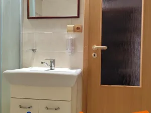 Pronájem bytu 2+1, Karlovy Vary, náměstí Dr. M. Horákové, 59 m2