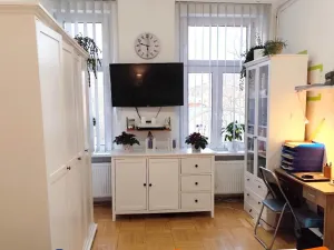 Pronájem bytu 2+1, Karlovy Vary, náměstí Dr. M. Horákové, 59 m2