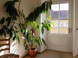 Pronájem kanceláře, Praha - Malá Strana, Karmelitská, 29 m2