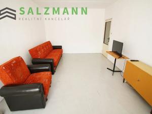Prodej bytu 2+1, Plzeň, Elišky Krásnohorské, 65 m2