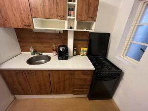 Pronájem bytu 2+kk, Praha - Břevnov, Bělohorská, 52 m2
