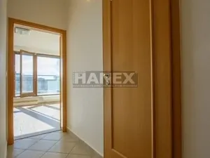 Pronájem bytu 1+kk, Praha - Holešovice, U měšťanského pivovaru, 35 m2
