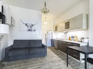 Pronájem bytu 1+kk, Praha - Nové Město, Soukenická, 37 m2