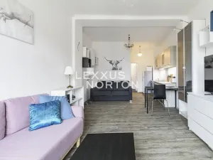 Pronájem bytu 1+kk, Praha - Nové Město, Soukenická, 37 m2