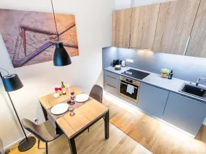 Pronájem bytu 1+kk, Praha - Žižkov, Seifertova, 31 m2