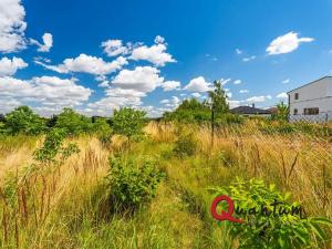Prodej pozemku pro bydlení, Brandýsek, Pod lékárnou, 2715 m2