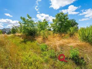 Prodej pozemku pro bydlení, Brandýsek, Pod lékárnou, 2715 m2
