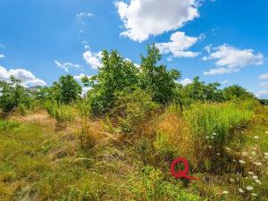 Prodej pozemku pro bydlení, Brandýsek, Pod lékárnou, 2715 m2