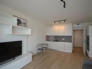 Pronájem bytu 1+kk, Praha - Žižkov, Malešická, 33 m2