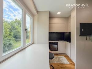 Pronájem bytu 1+kk, Praha - Strašnice, Michelangelova, 27 m2