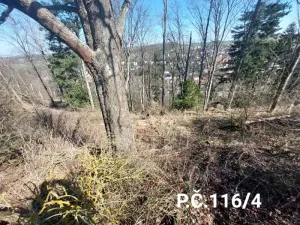Prodej lesa, Jihlava, 52928 m2
