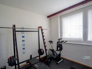 Pronájem bytu 3+1, Vyškov, Tyršova, 78 m2