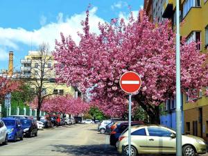 Prodej bytu 2+1, Praha - Vinohrady, Hradecká, 69 m2