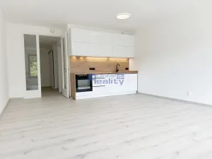 Pronájem bytu 1+kk, Hradec Králové, Pálenecká, 46 m2