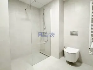 Pronájem bytu 1+kk, Hradec Králové, Pálenecká, 46 m2