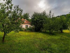 Prodej rodinného domu, Luže, 462 m2