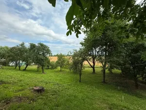 Prodej rodinného domu, Kožušany-Tážaly, 160 m2