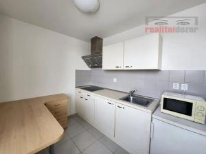 Pronájem bytu 1+kk, Brno, U Leskavy, 33 m2